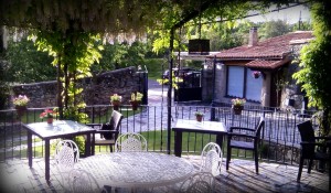 Bonito hotel naturaleza
