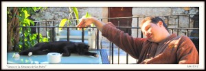 Siesta con gatos en hotel rural