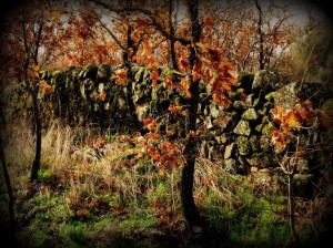 Otoño Romántico