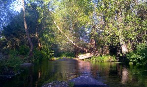 ríos sierra de gata